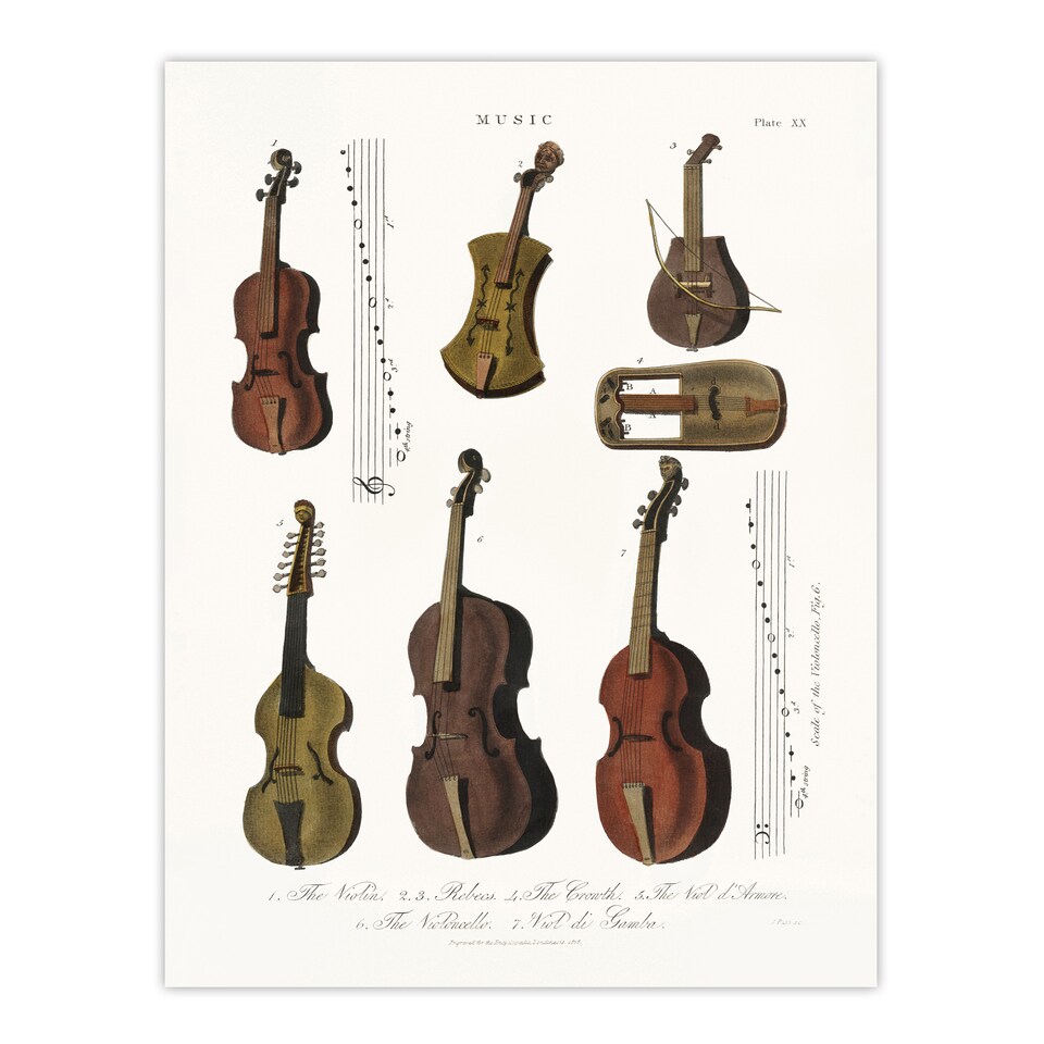 image 1 of Violin Viola Cello Encyclopedia Londinensis Huge Wall Art Poster Print 24X32"