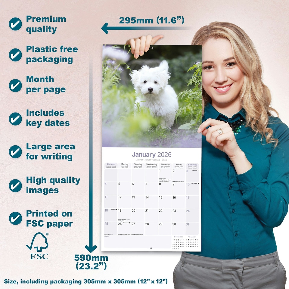 image 1 of Maltese 2026 Calendar | Square Wall Calendar | Dog Breed Gift | Plastic Free Packaging | by Avonside Publishing