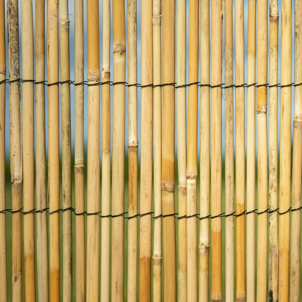 image 1 of Primrose Thick Reed Bamboo Style Natural Privacy Screening Roll Garden 4m x 1.2m