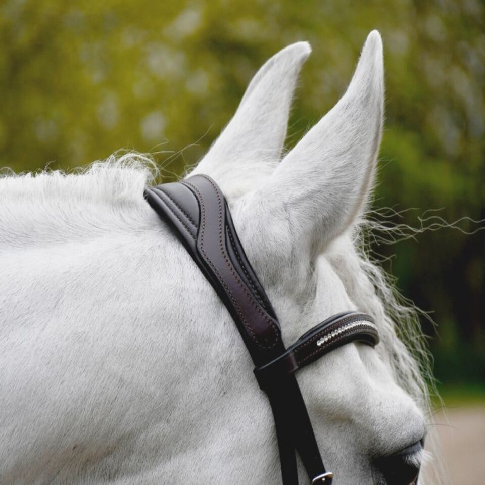 image 1 of Rhinegold Anatomical Mexican Bridle Brown | Size: X-Full
Colour: H.Brown