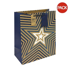 Eurowrap Stars Kraft Gift Bag (Pack of 6) - Blue/Brown/White - L