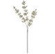 image 2 of 80cm White Eucalyptus Foliage Stem