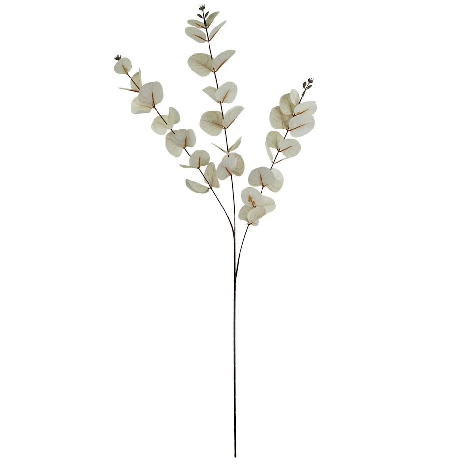 image 1 of 80cm White Eucalyptus Foliage Stem
