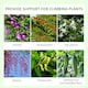 image 3 of Outsunny Set of 2 Metal Trellis for Climbing Plants, Floral Design, 50 x 180cm
