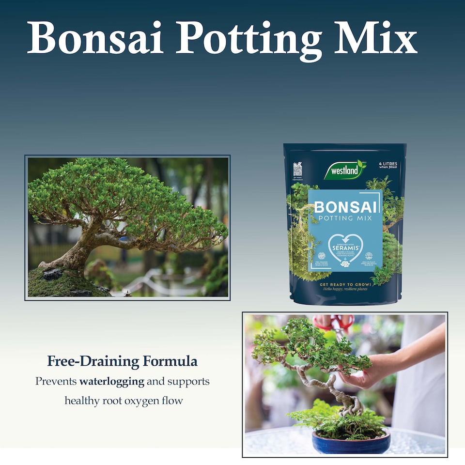 image 1 of Westland Bonsai Potting Mix 4L Free Draining Peat Free Brown Soil for Healthy Bonsai Growth & Strong Roots