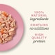 image 10 of Applaws Cat Can Tuna Fillet & Prawn 156g (Pack of 24)