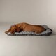 image 3 of Scruffs Expedition Water Resistant Crate Mat - Storm Grey