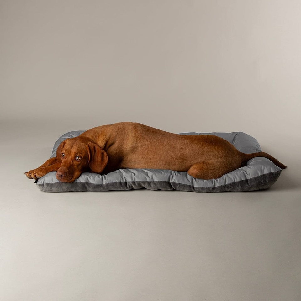 image 1 of Scruffs Expedition Water Resistant Crate Mat - Storm Grey
