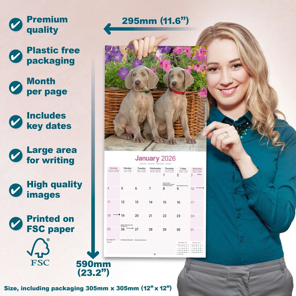 image 1 of Weimaraner 2026 Calendar | Square Wall Calendar | Dog Breed Gift | Plastic Free Packaging | by Avonside Publishing