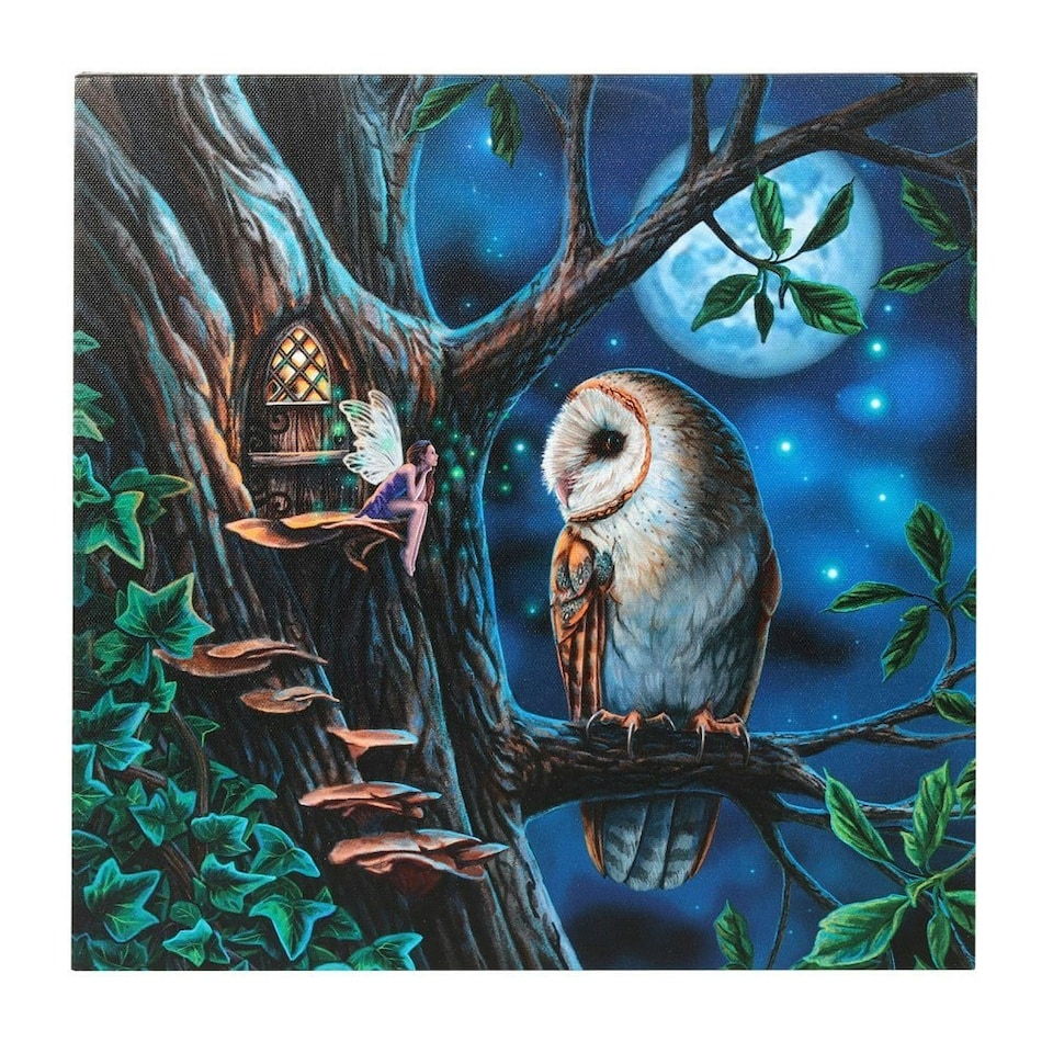 image 1 of Fairy Tail Light Up Canvas