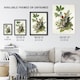 image 3 of American Robin Birds Nest Audubon Nature Huge Wall Art Print 18X24 In