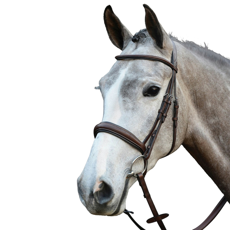 image 1 of Collegiate Mono Crown Padded Raised Leather Cavesson Bridle - Brown - Cob