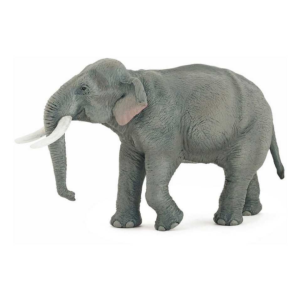 image 1 of PAPO Wild Animal Kingdom Asian Elephant Toy Figure