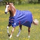 image 1 of Tempest Original Air Motion Horse Turnout Rug - Navy - 63in