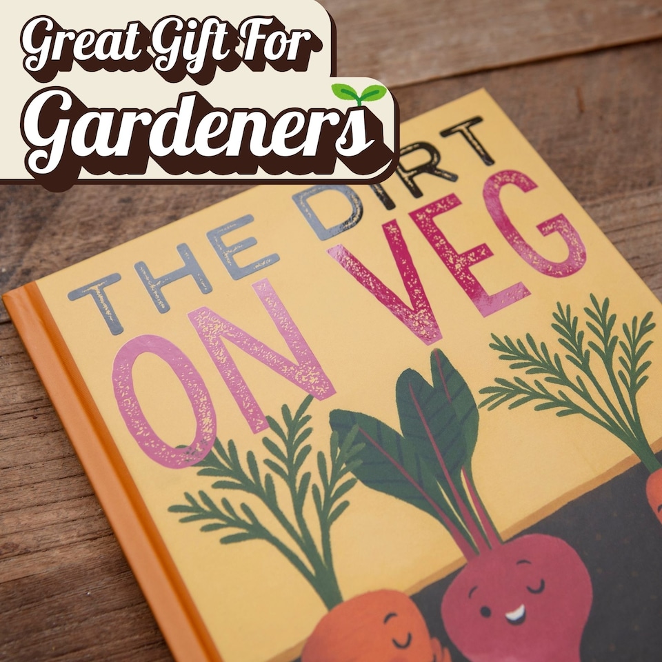 image 1 of The Dirt on Veg Gardening Book Beginners Guide to Growing Your Own Vegetables
