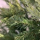 image 6 of Everlands 210cm (7ft) Green Grandis Fir Real Look Christmas Tree 2326 Tips