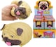 image 2 of Squeezey Pug Dog