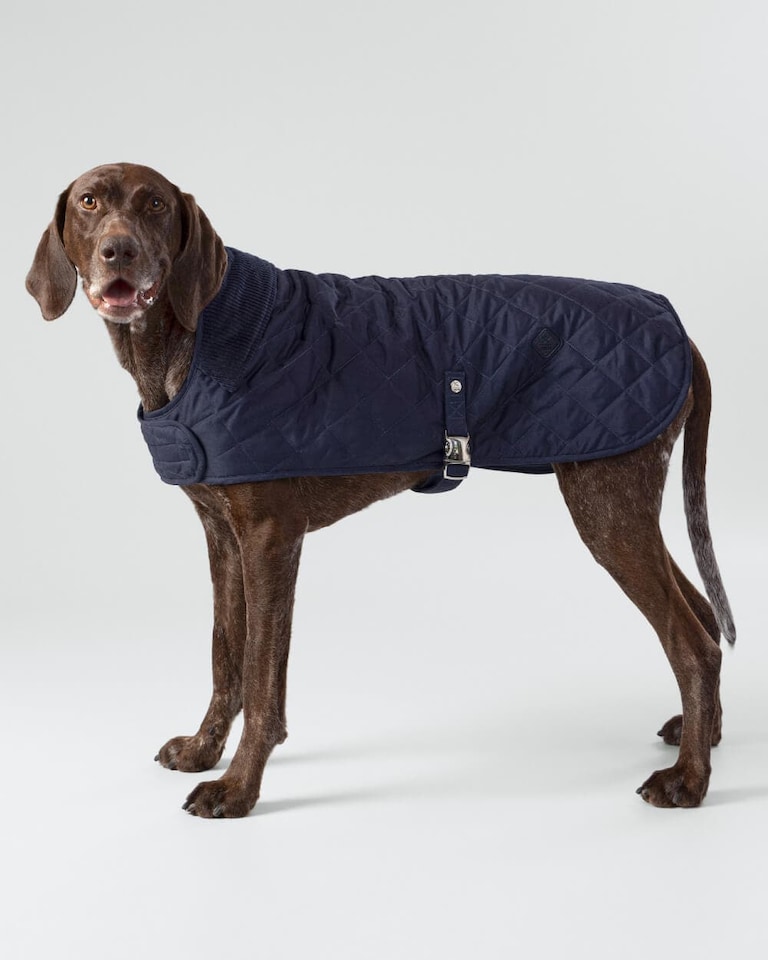 image 1 of Navy Quilted Dog Jacket