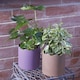 image 2 of Ceramic Indoor Plant Pot Earthy Brick - H13.5cm