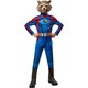 image 1 of Guardians Of The Galaxy Boys Deluxe Rocket Raccoon Costume - Blue/Red - S S