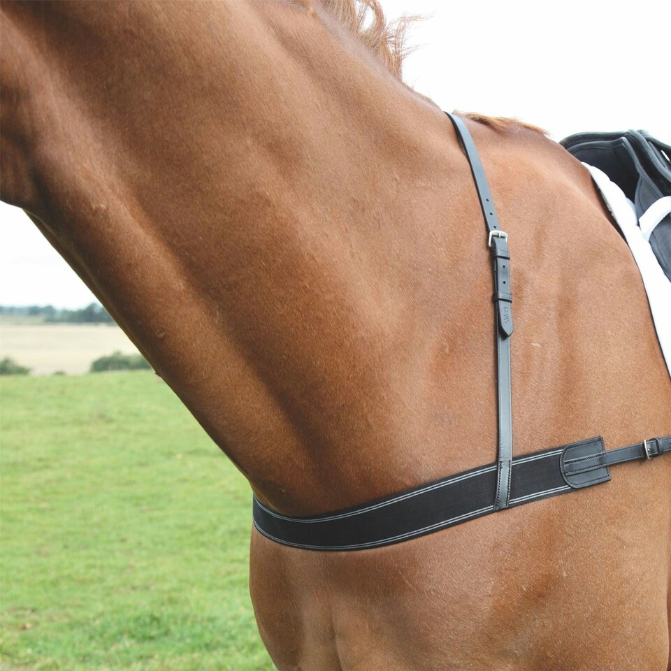 image 1 of Shires Blenheim Elastic Breastgirth Black | Size: One Size
Colour: Black