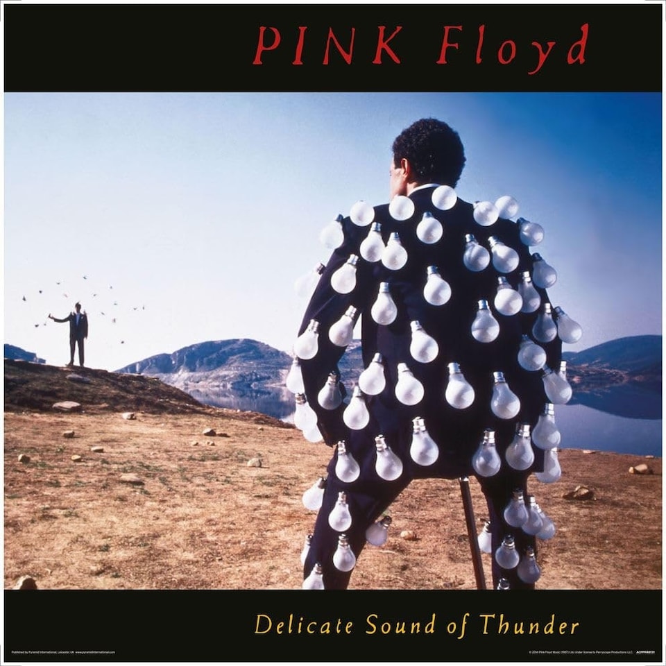 PINK FLOYD (DELICATE SOUND OF THUNDER) - MEMORABILIA RANGE