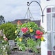 image 6 of Marco Paul Black Plastic Hanging Basket 15" Black