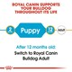 image 4 of Royal Canin Dog Bulldog Puppy 3KG