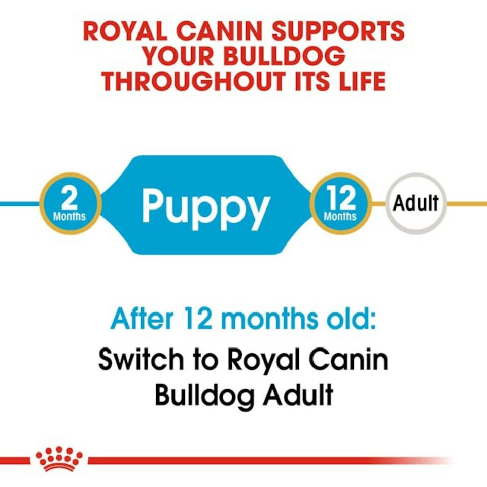 image 1 of Royal Canin Dog Bulldog Puppy 3KG