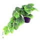 image 1 of Artificial Trailing Green Potted Pothos Plant Botanik