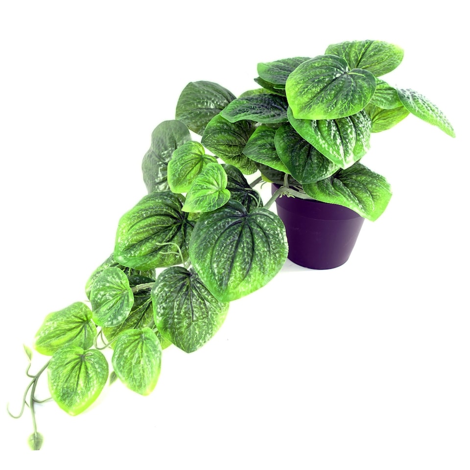 image 1 of Artificial Trailing Green Potted Pothos Plant Botanik