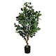 image 2 of Artificial 100cm Leaf Realistic Artificial Ficus Tree / Plant Bush Ficus Gold Curve Planter | Green | 3ft