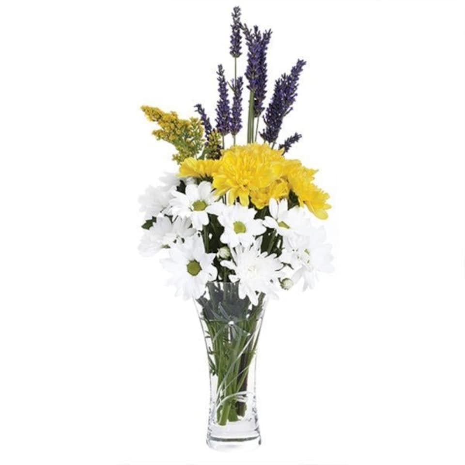 image 1 of Vase: 18cm Dartington Crystal Glitz Dragonfly Vase, Crystal Glass Clear