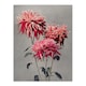 image 1 of Pink Chrysanthemum Flowers Vintage Japan Wall Art Print Kazumasa 12x16"