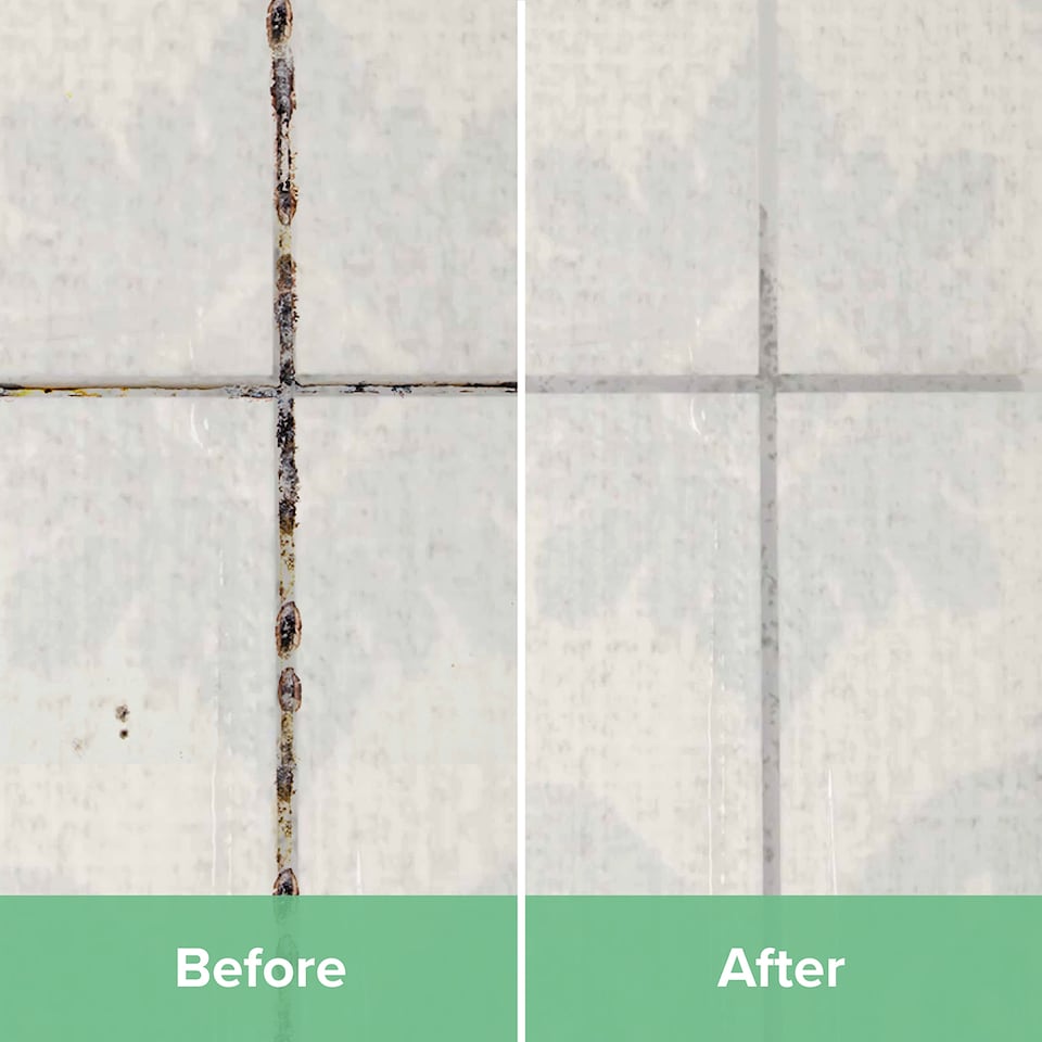 image 1 of Mould Master