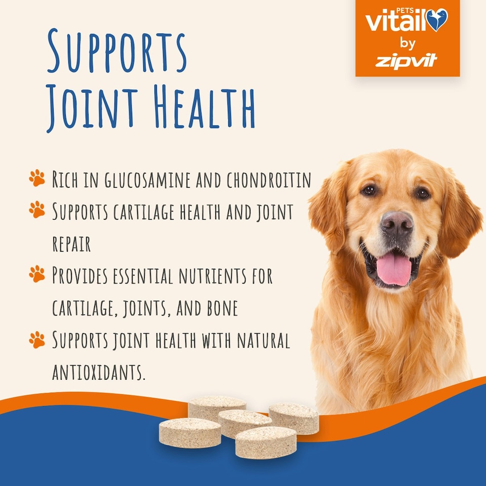 image 1 of Zipvit Green Lipped Mussel 500mg for Dogs – Joint & Coat Support, 120 Tablets