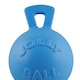 image 2 of Jolly Pets Tug-N-Toss Dog Retrieving Toy - Blueberry - 4.5in