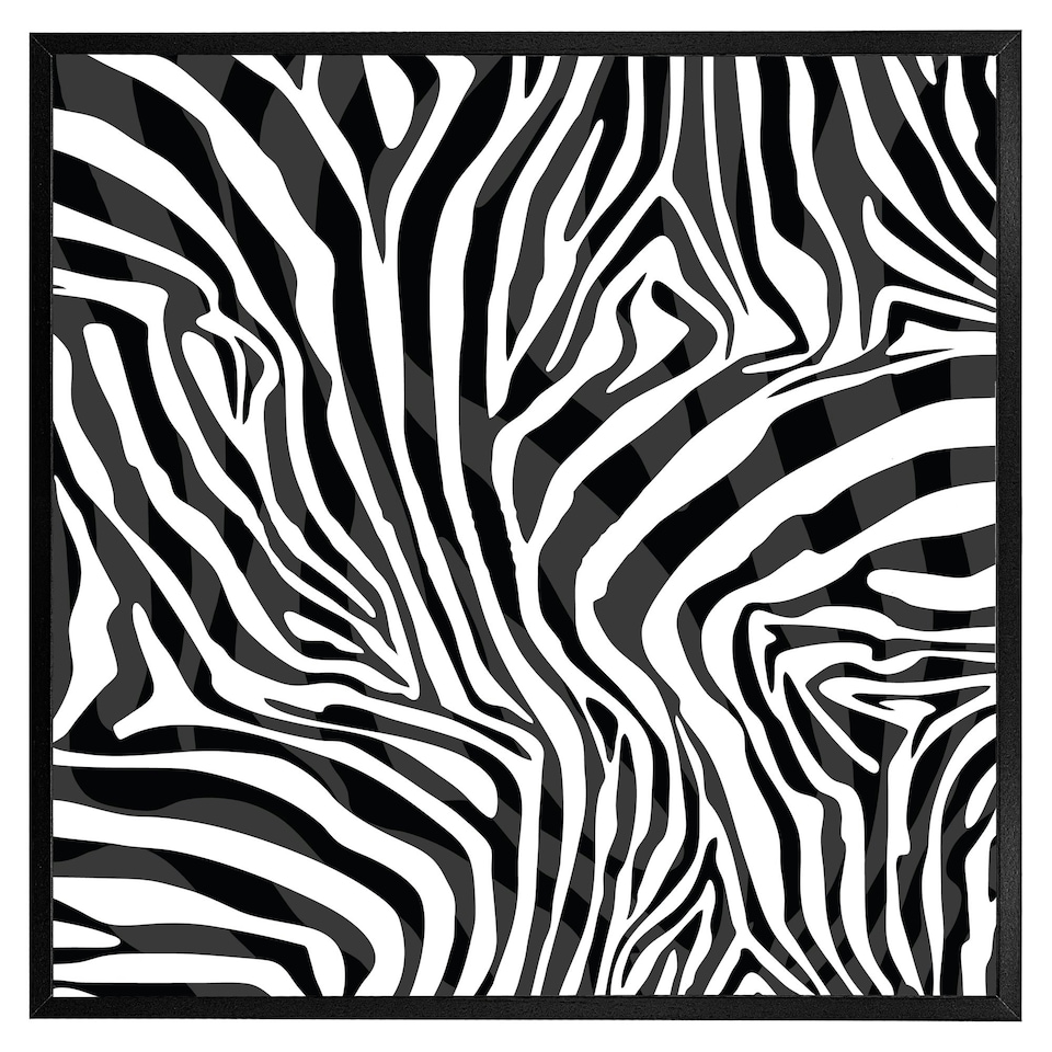 image 1 of Zebra animal print (Picture Frame) White | S