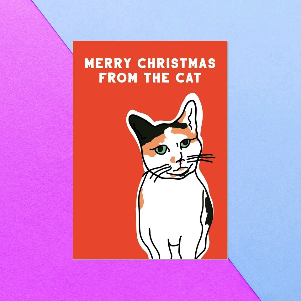 Merry Christmas From The Cat Greetings Card