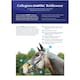 image 3 of Collegiate Comfitec Patent Leather Bridle - Brown - Warmblood
