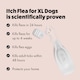 image 4 of Itch Flea Extra Large Dog Flea & Tick Spot On Treatment 6 Pipette (40+kg)