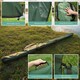 image 7 of Actiaspet 3+3 Fishing Rod Holdall 12ft Padded Rod & Reel Bag with Shoulder Strap, 2 External Pockets, Fits 6 Rods (Made & Unmade), 205cm
