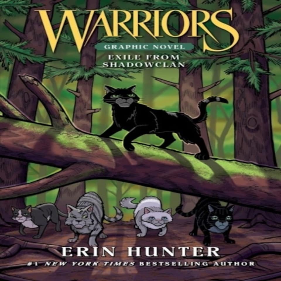 Warriors Full Color Graphi Pb
