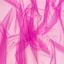 Cyclamen