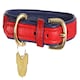 image 6 of Shires Digby & Fox Padded Leather Dog Collar Purple | Size: Medium
Colour: Lilac