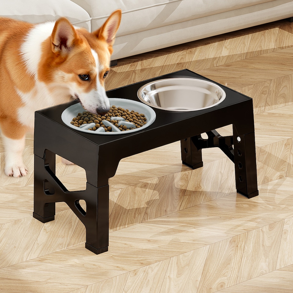 image 1 of Skylos Dog Raised Elevated Pet Feeding Bowls Stainless Steel Adjustable Stand