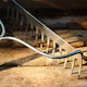 image 3 of Kent & Stowe Stainless Steel Long Handled Soil Rake | Multi | 1 x Soil Rake