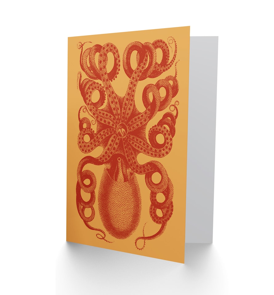 image 1 of Octopus Coral Yellow Greetings Card