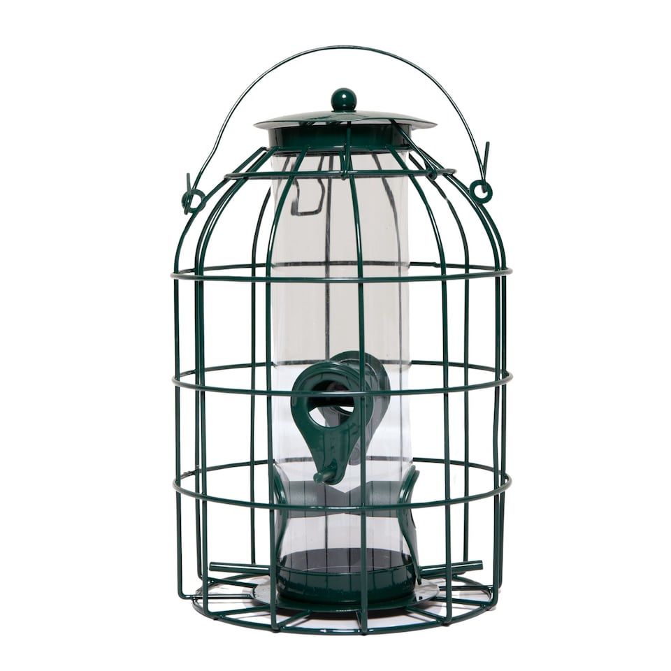 image 1 of Samuel Alexander Metal Hanging Bird Seed Feeder with Squirrel Guard