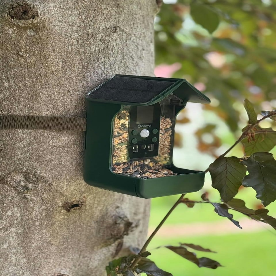image 1 of Denver Birdcam with rechargeable battery BFC-1200